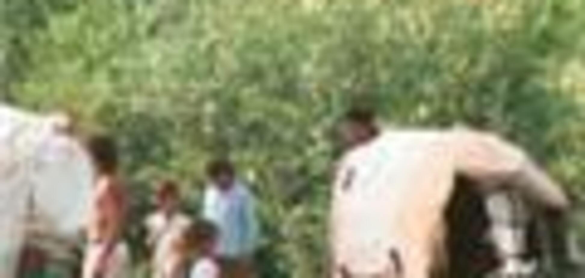 Во время пикета против наркотиков торговали героином