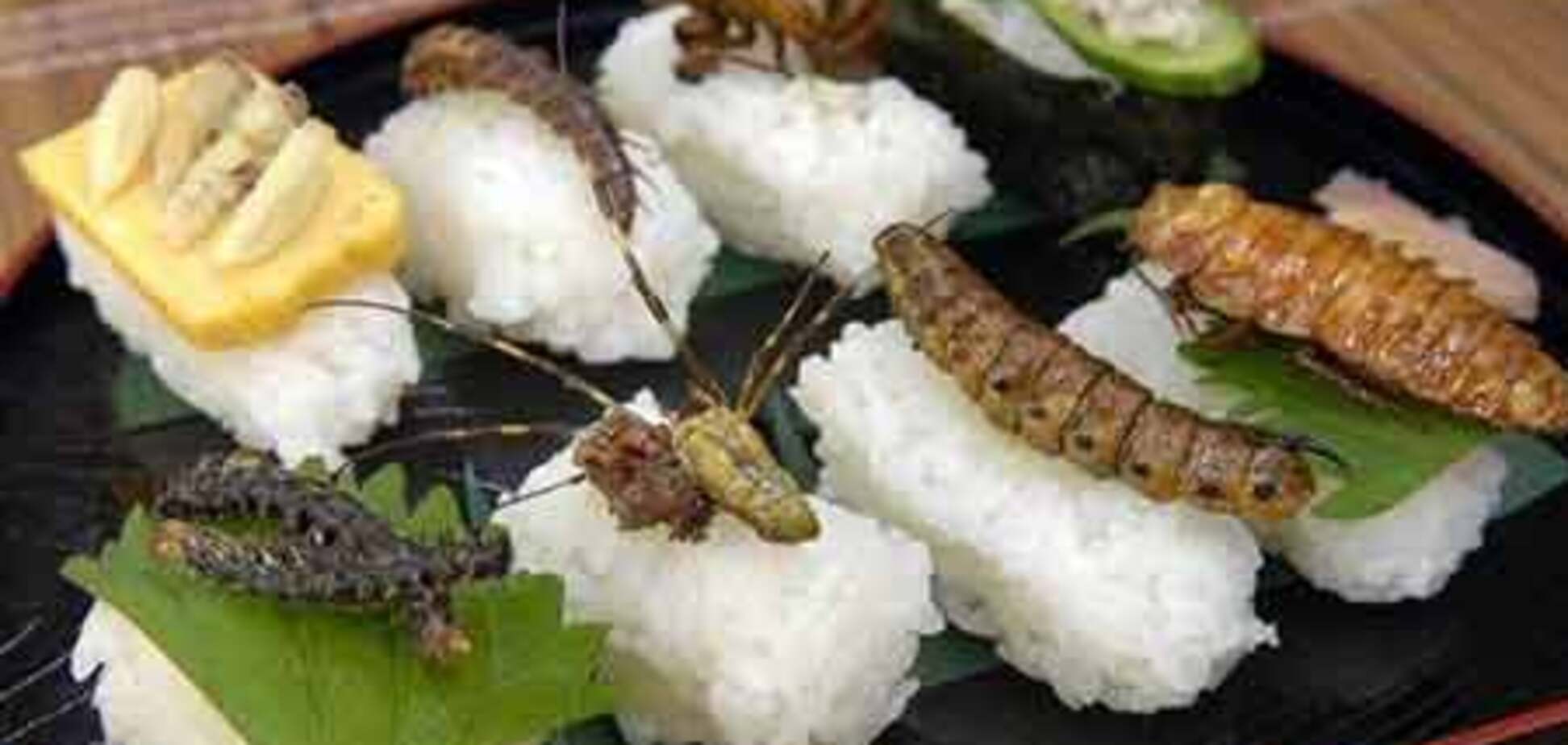 Закусончик - суши с насекомыми