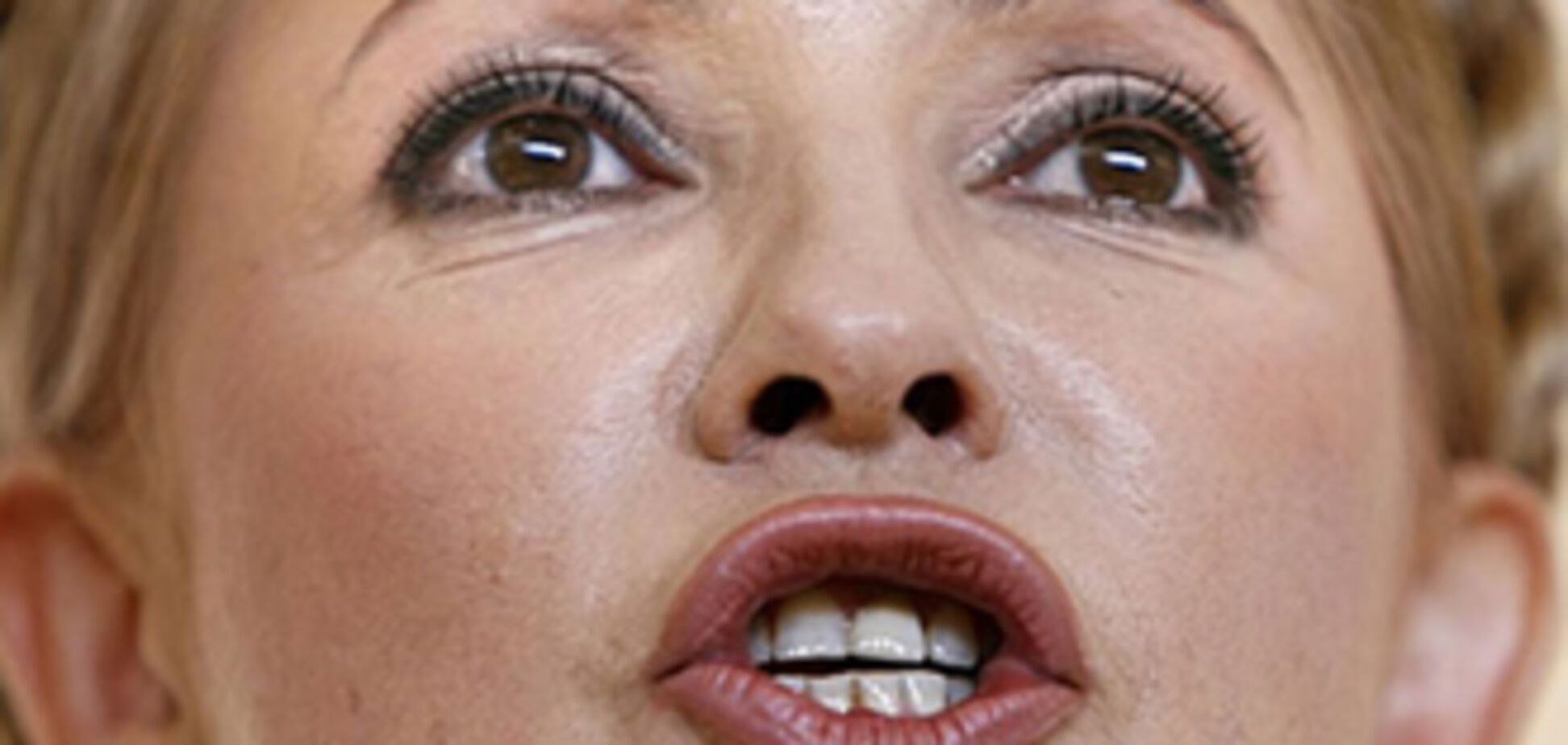 Герман обозвала Тимошенко 'кремлевским попугаем'