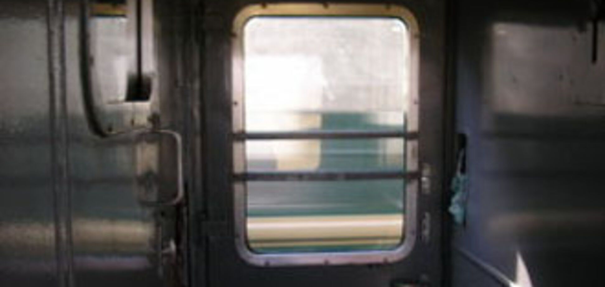 Из поезда на ходу выпал связанный проводниками пассажир