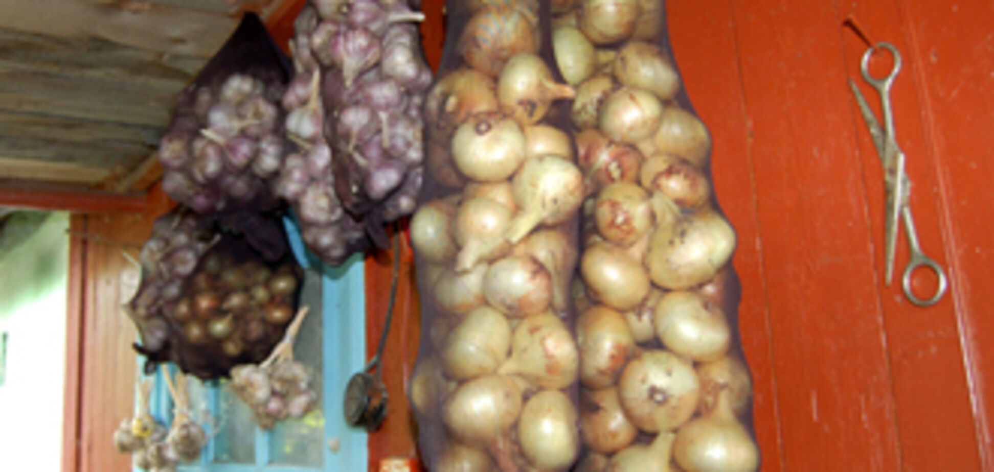 Непомерные цены на лимоны, лук и чеснок чреваты штрафами