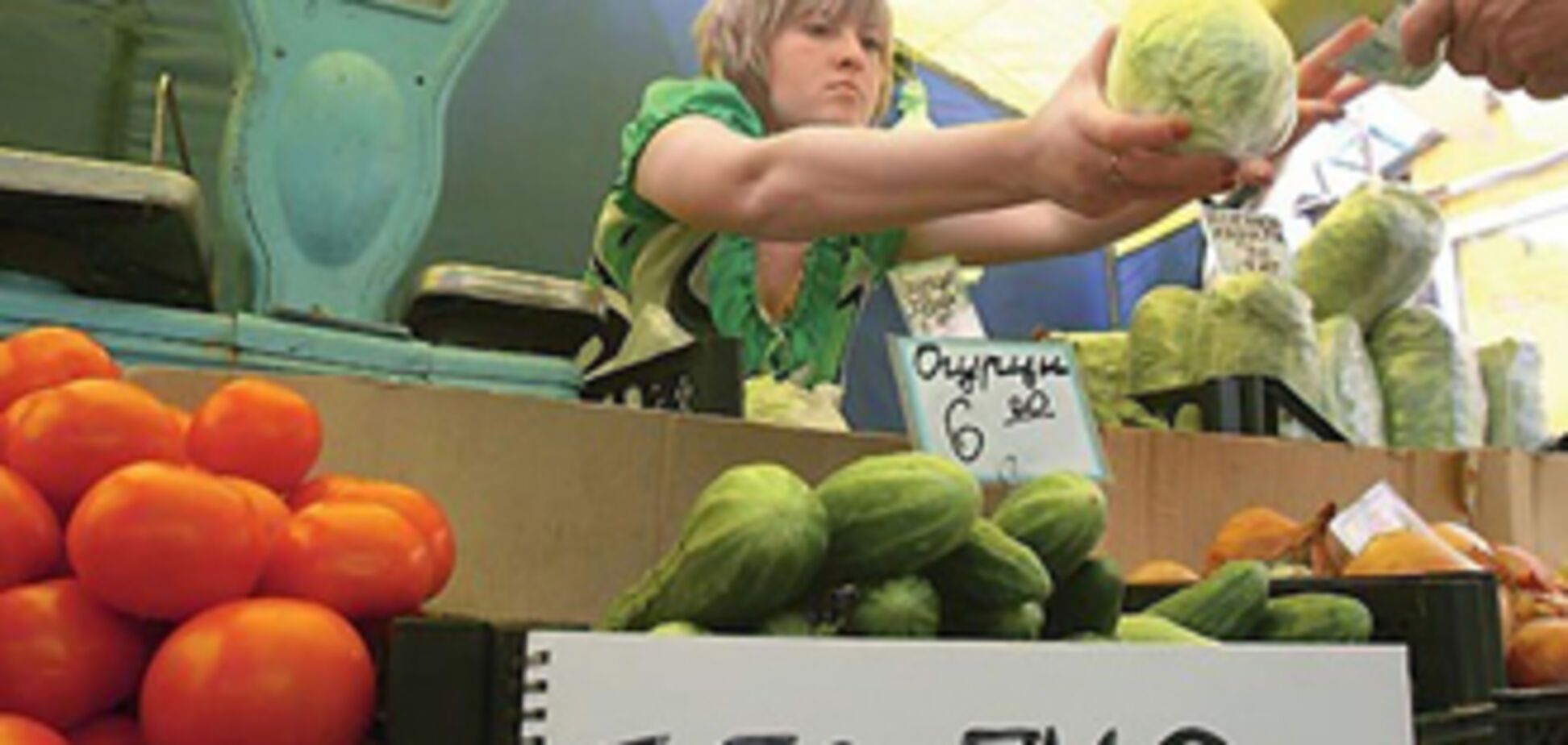 Регионалы предлагают полностью запретить ГМО в Украине