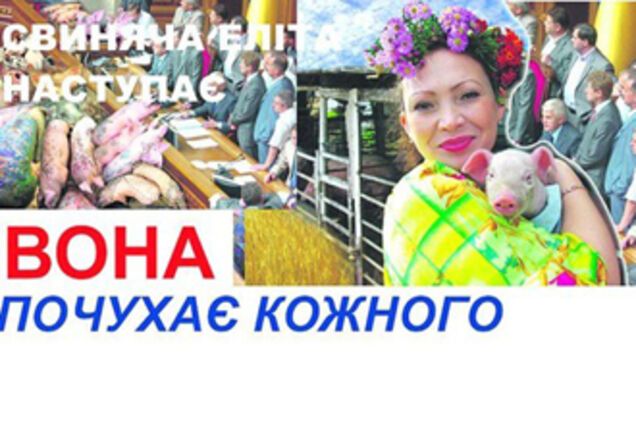 Свинарка Вона меняет фамилию