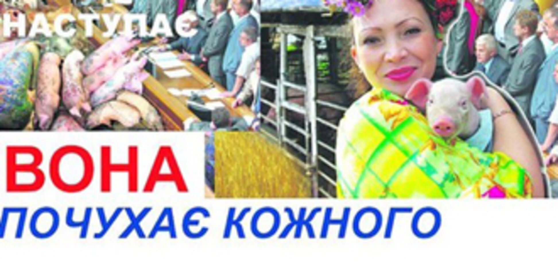 Свинарка Вона меняет фамилию