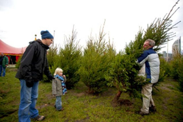 Страшные тайны новогодней елки