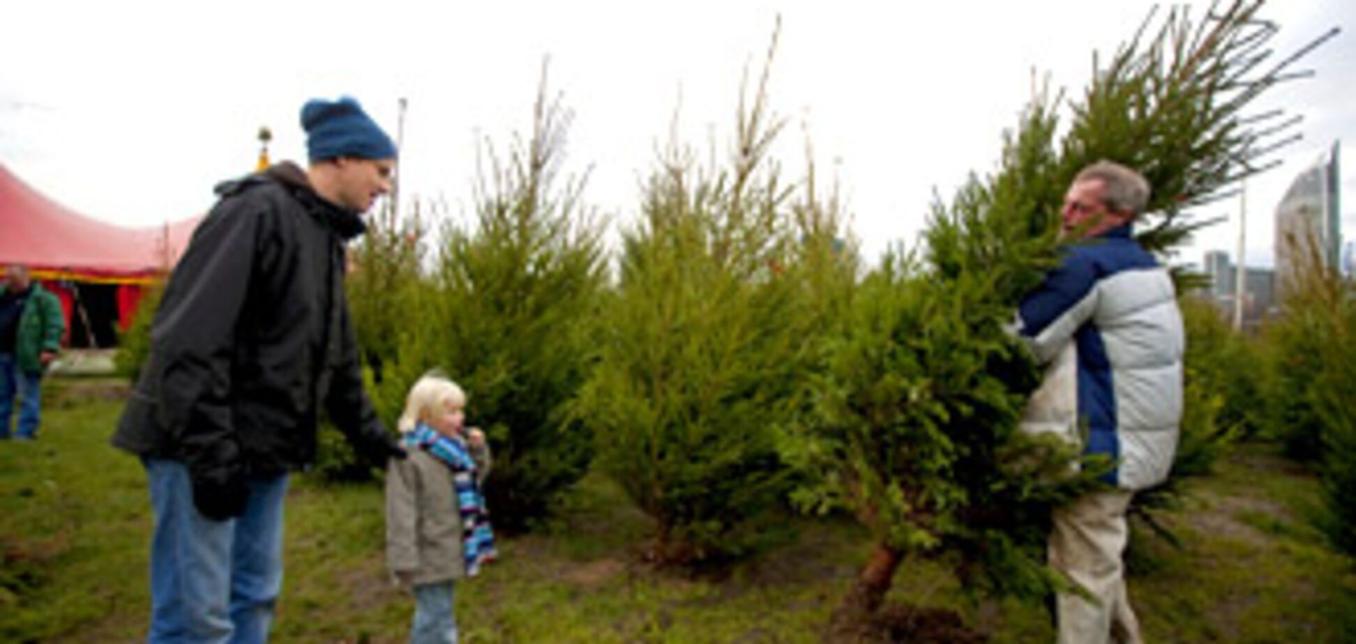 Страшные тайны новогодней елки