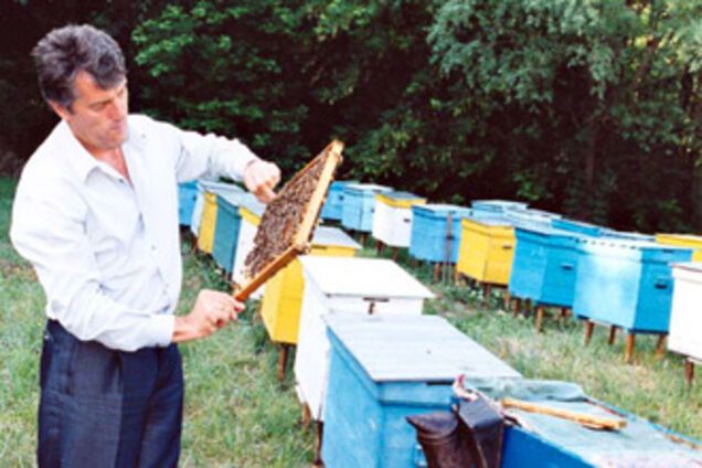 Луценко сваливает ответственность на пчел Ющенко