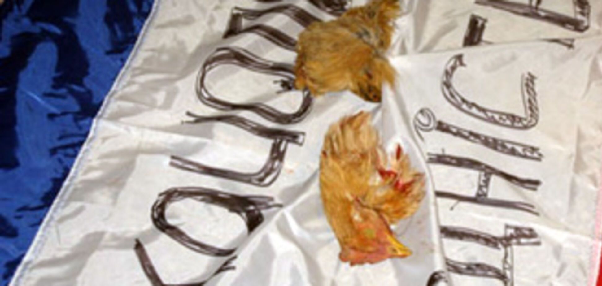 Националисты встретили русских Крыма куриными головами