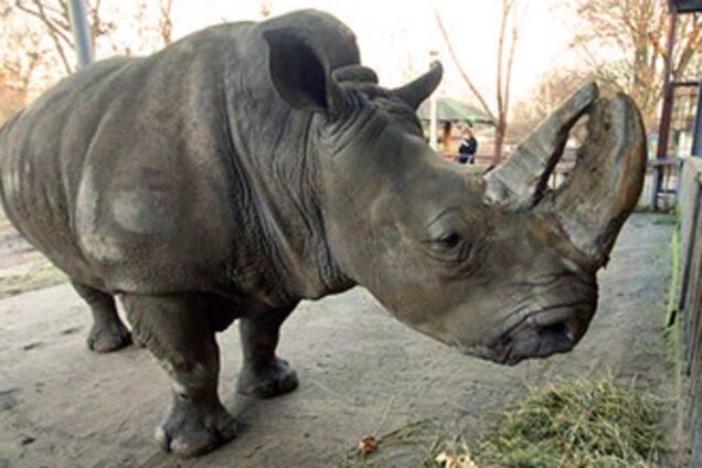 Самые знаменитые животные Украины. ФОТО