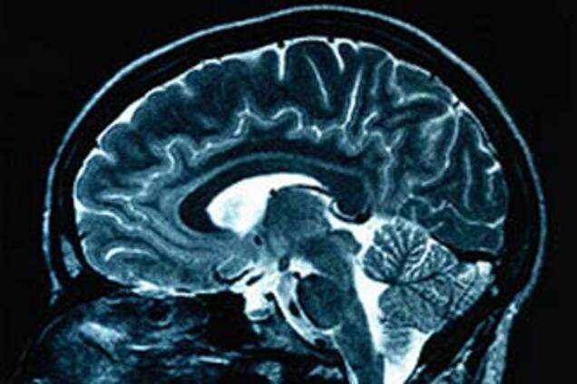 Доброго людини видно за частки секунди!