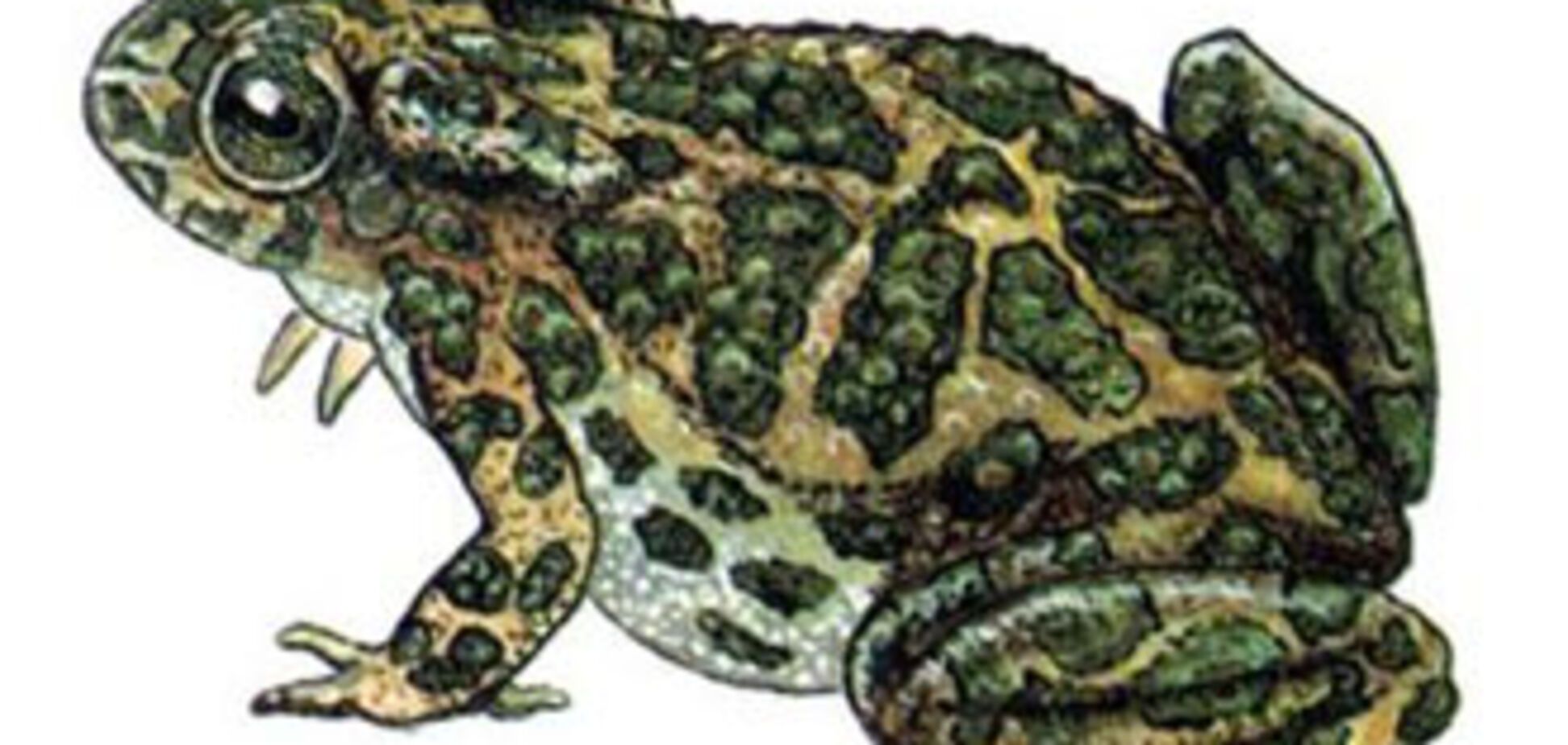 В Украину могут завезти новый наркотик сильнее героина