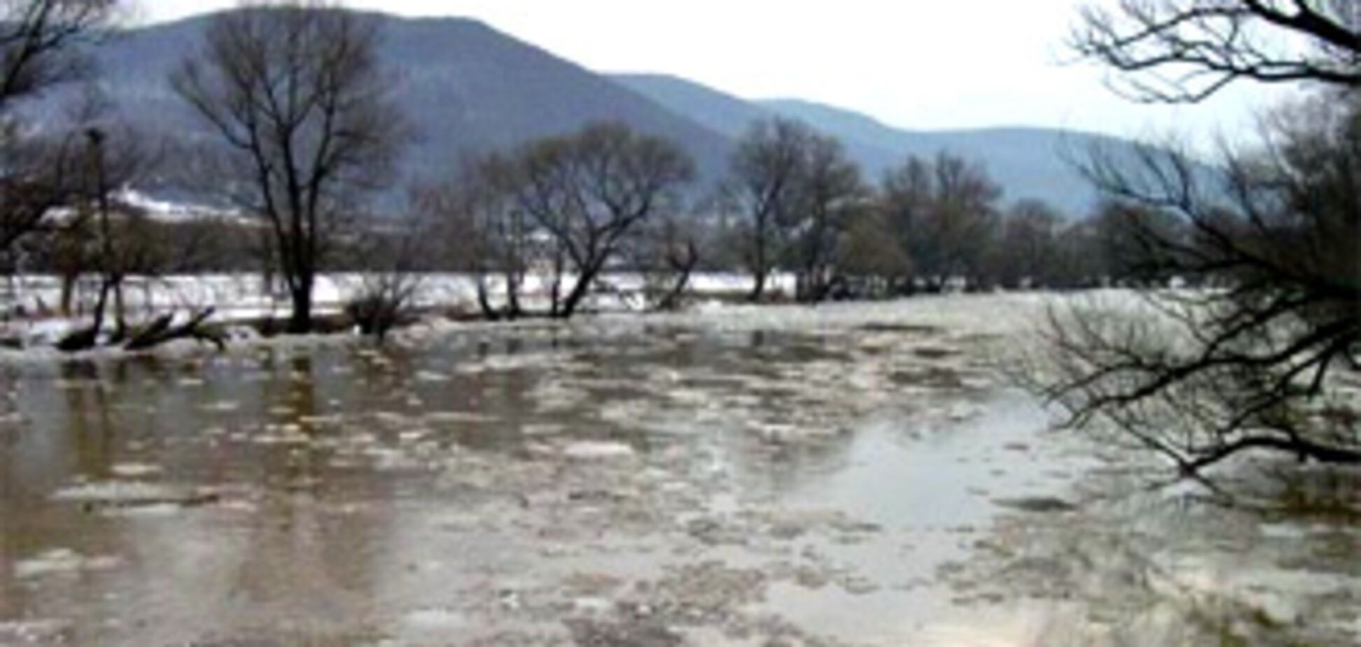 Наводнение в Закарпатье: вода в реках поднялась до 4 м