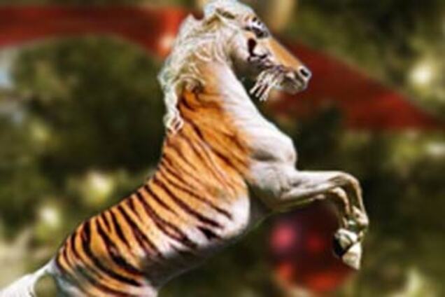 В 2010-м лучше быть Лошадью 