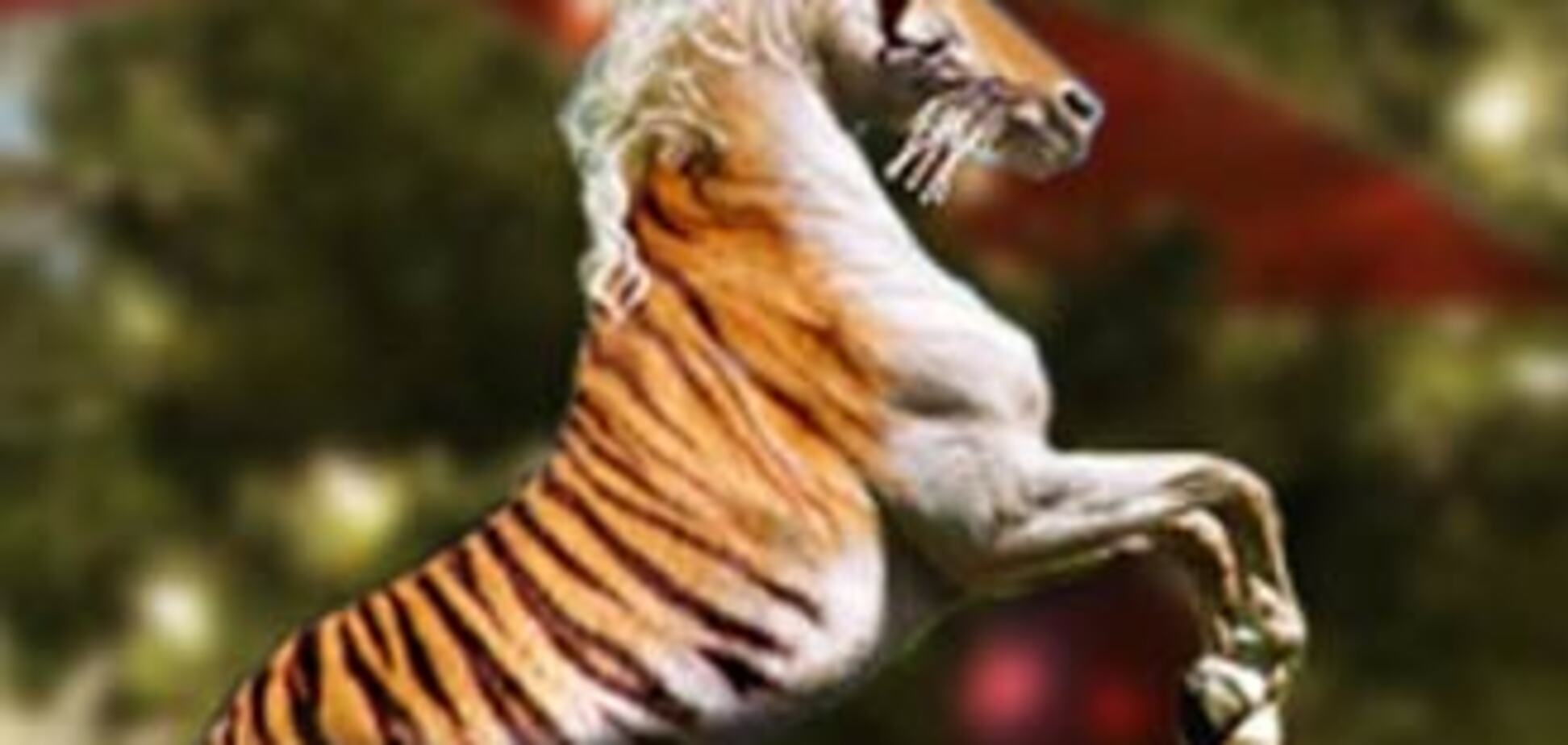 В 2010-м лучше быть Лошадью