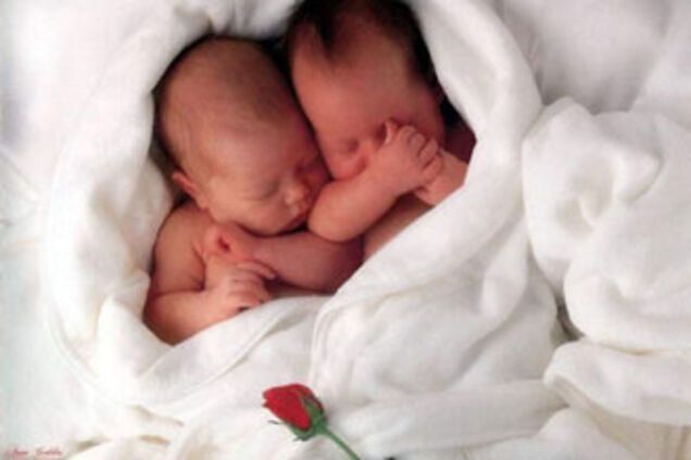 Украина в этом году 'разродилась' не на шутку