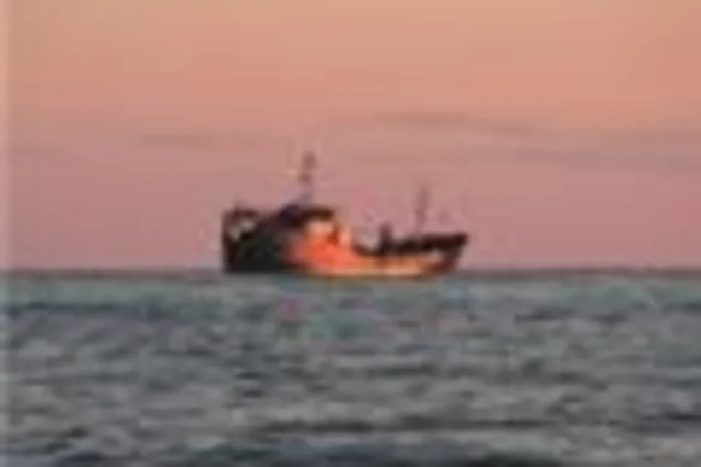 Українські моряки постраждали від ячменю