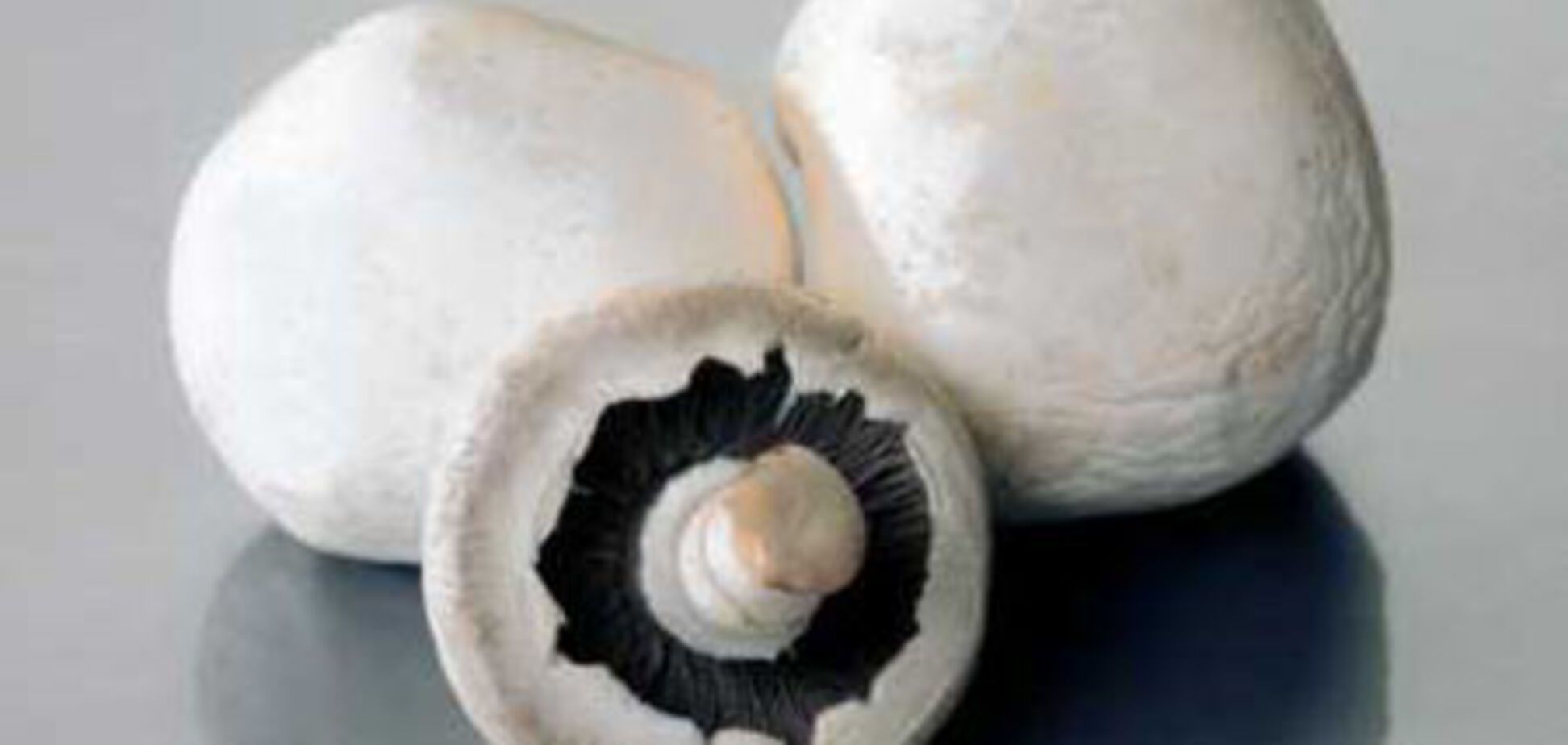 Зимой солнце заменят шампиньоны