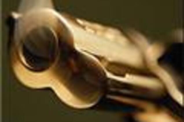 Проигравший выборы мэр стрелял в сестру конкурента