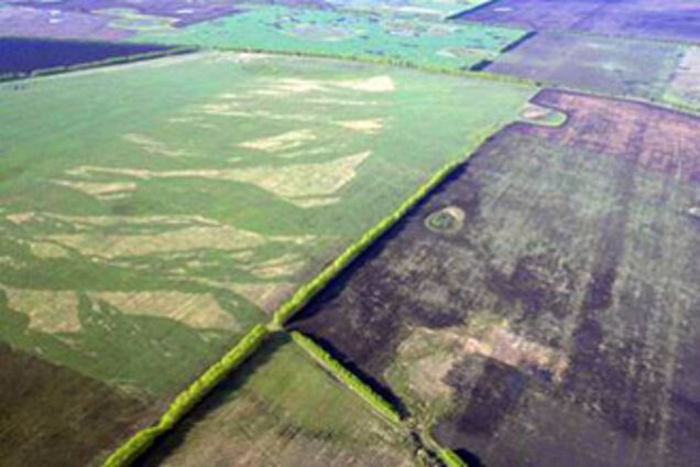 Рада хочет ввести мораторий на продажу сельхозземель