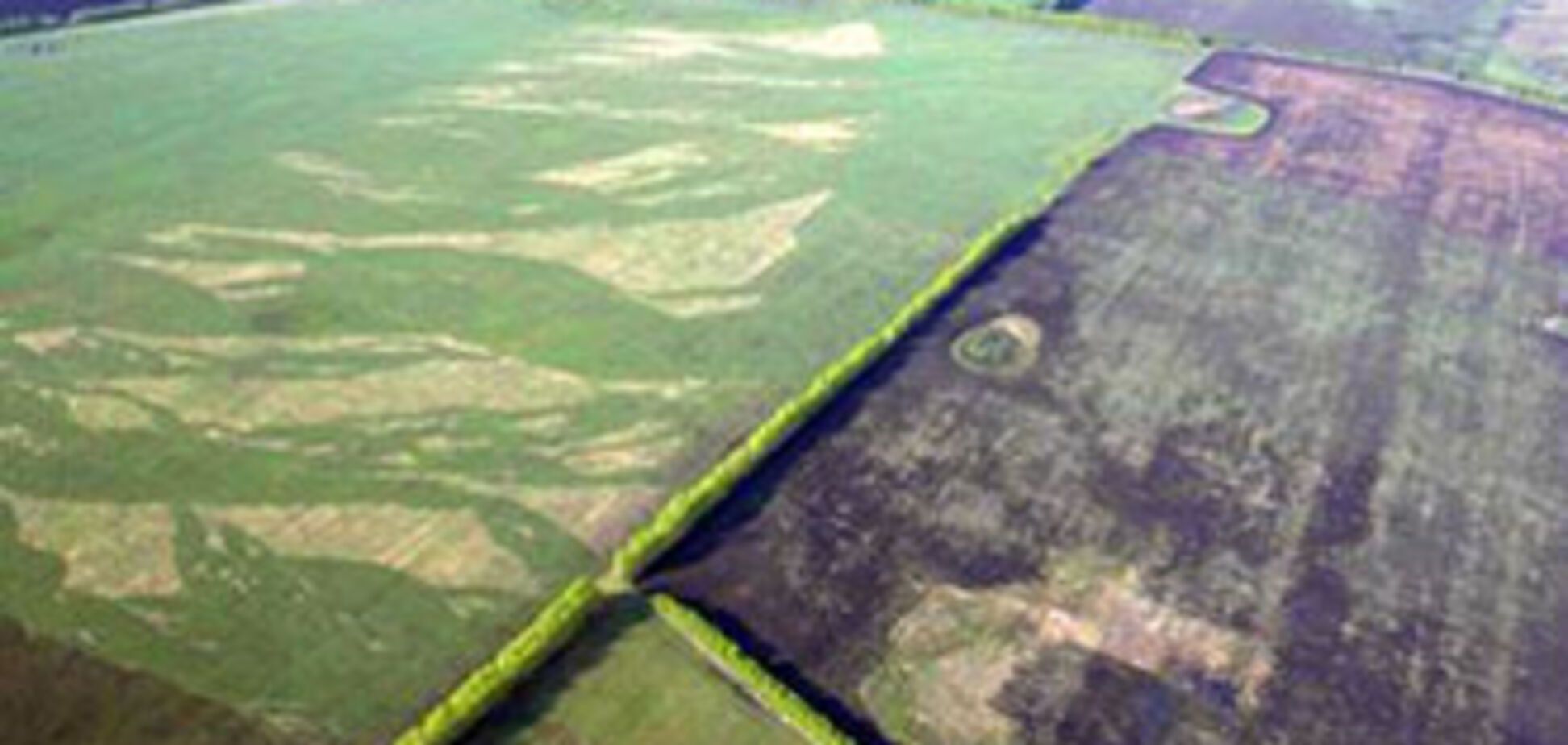 Рада хочет ввести мораторий на продажу сельхозземель