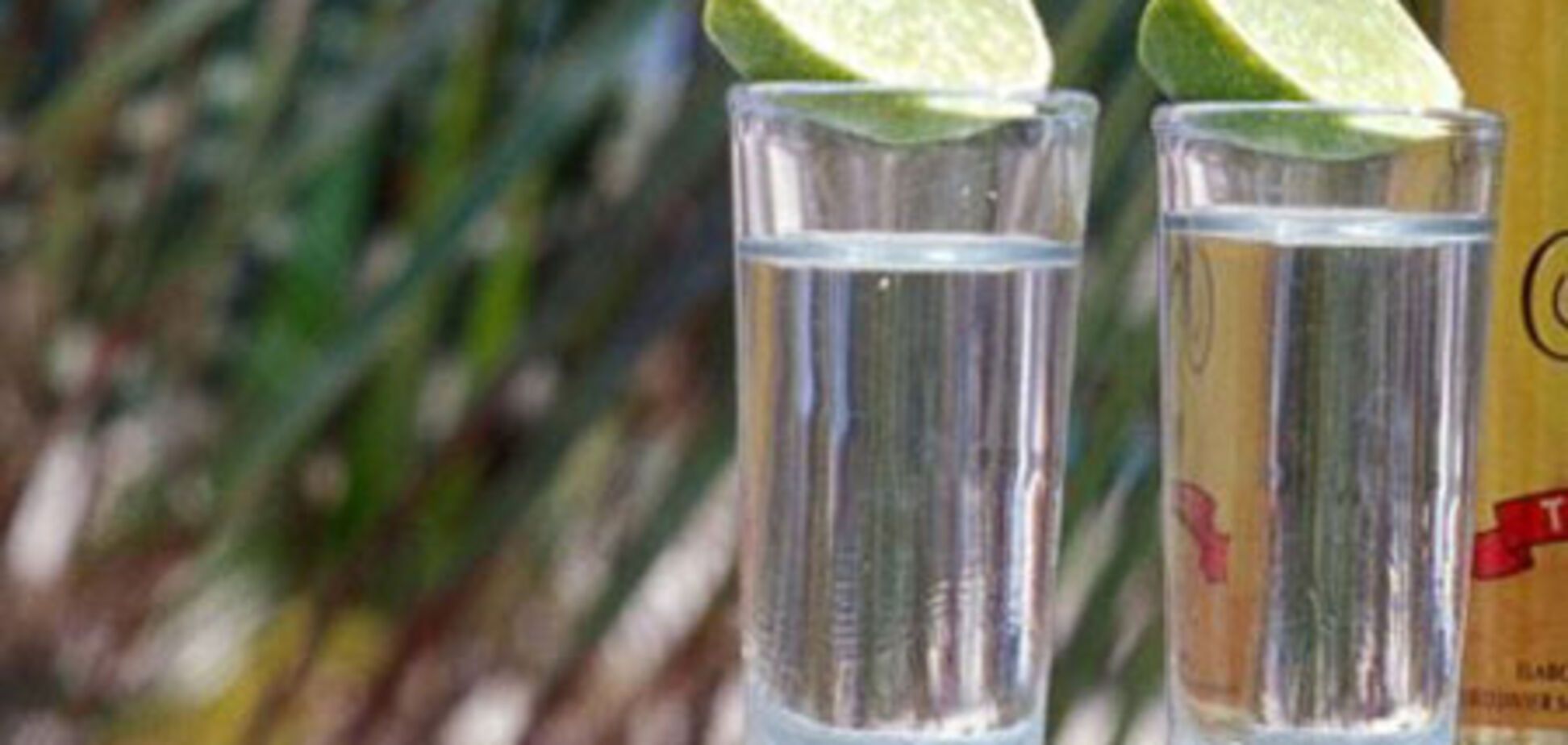 Способы употребления текилы