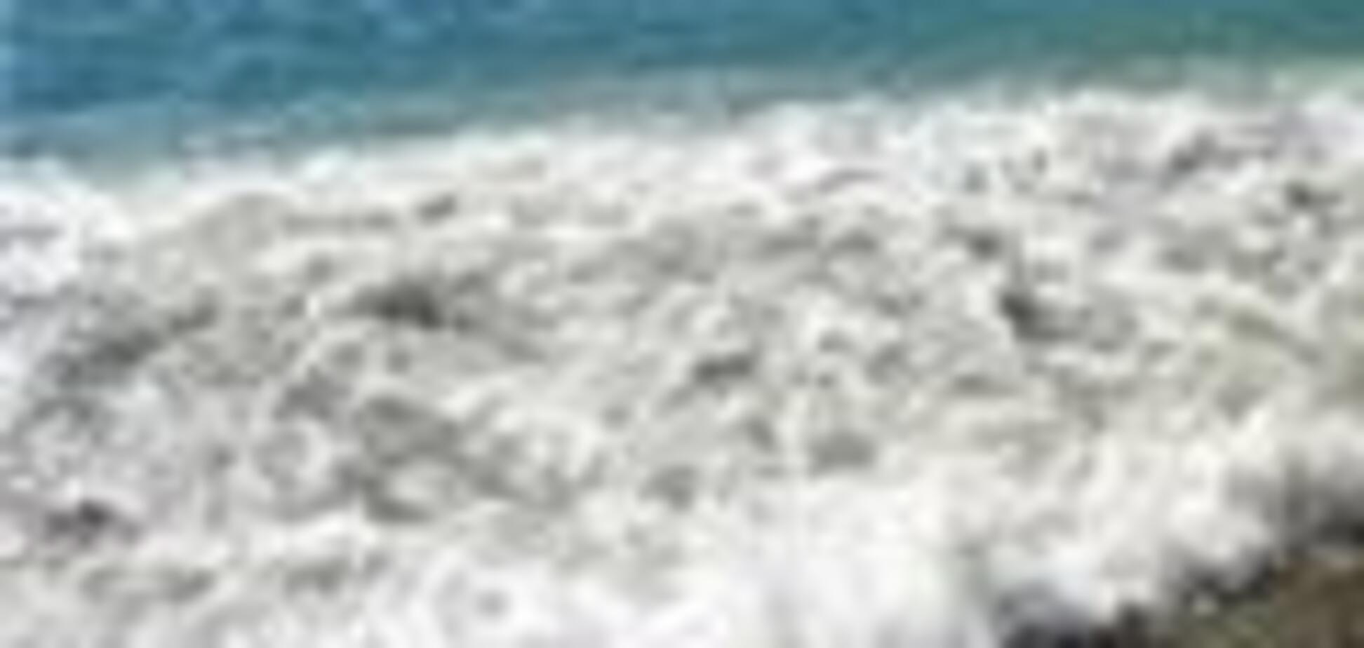 Украина сделала Болгарию главной по Черному морю