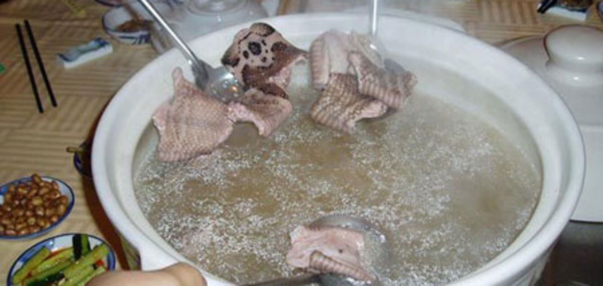 Меню гурмана. Что будем заказывать - змеиный супчик или барбекю из гремучей змеи