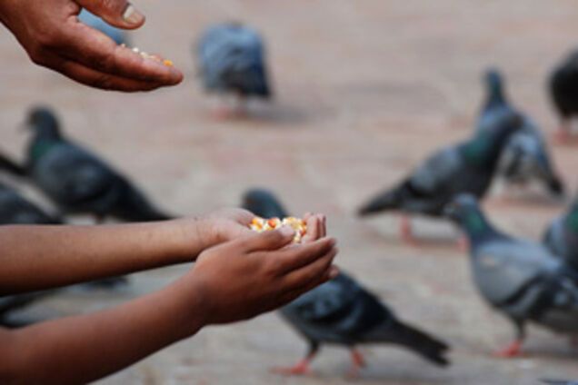 Сегодня – День спонтанного добра