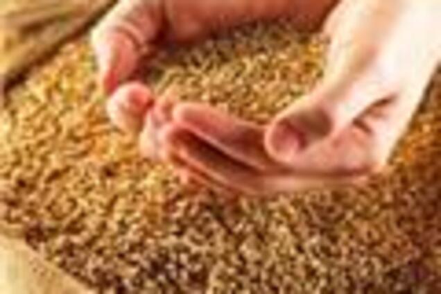 У Вінницькій області згоріло 55 тонн зерна