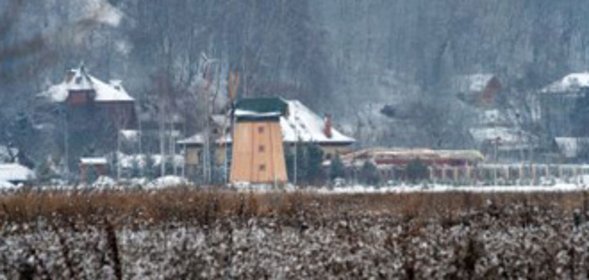 У односельчан Ющенко чешутся руки на соседа-пасечника