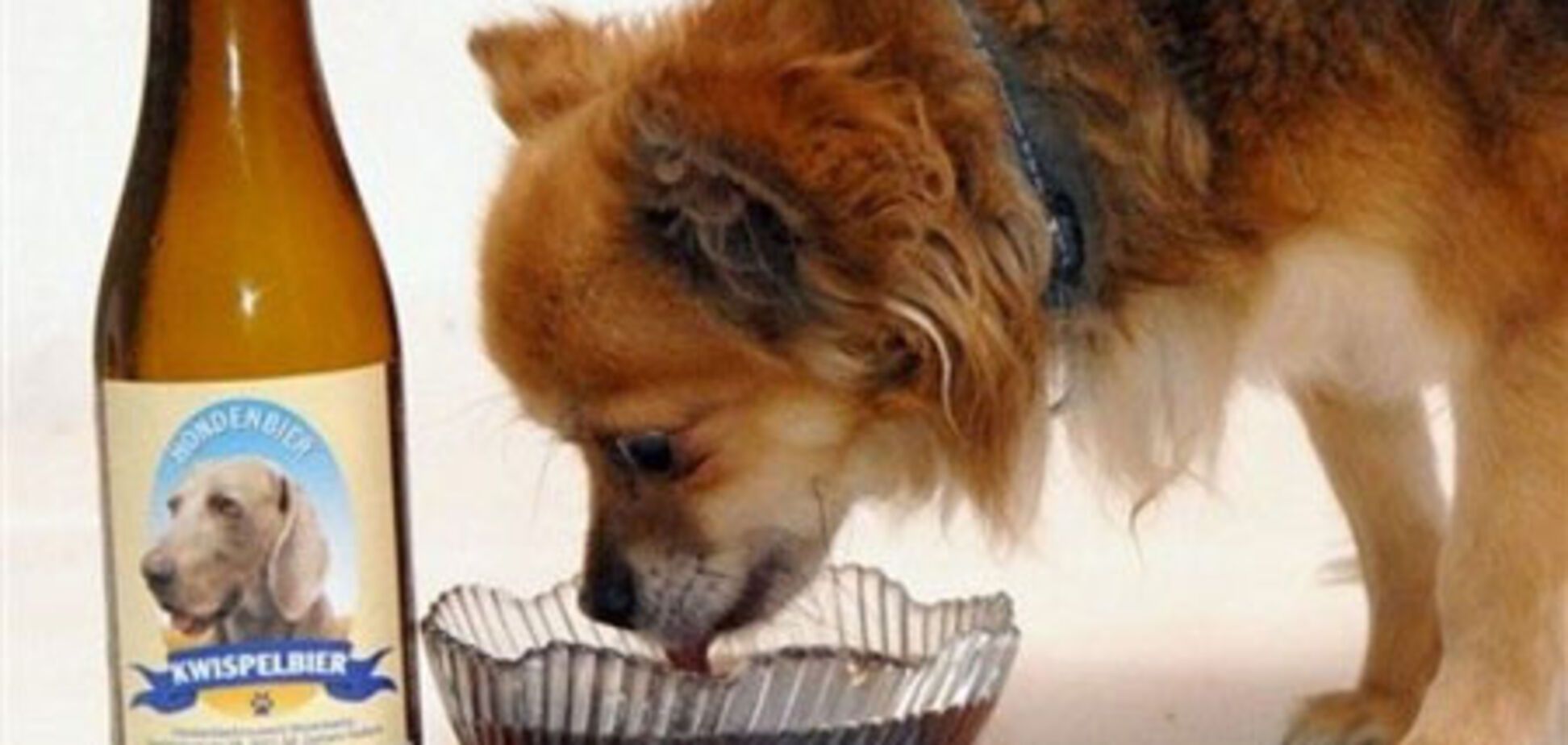 Необычное пиво