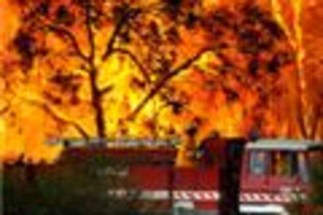 14 австралийцев погибли в огне