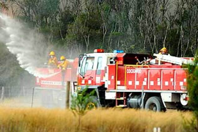 В Австралії вирують лісові пожежі, 65 загиблих