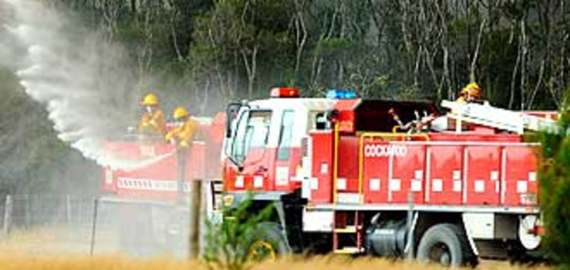 В Австралии бушуют лесные пожары, 65 погибших