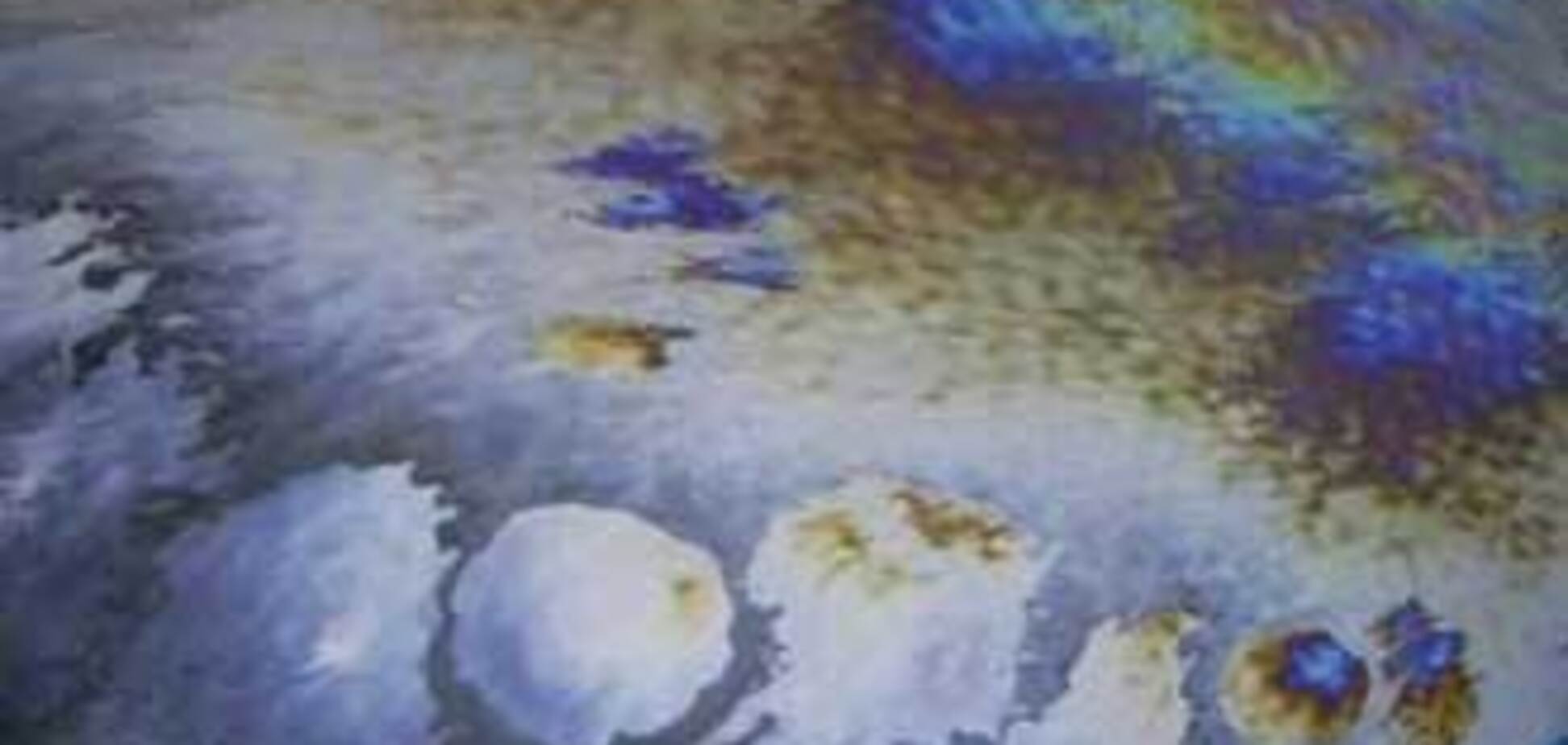 В Одесской области на Дунае разлили нефть