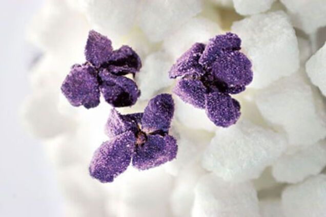 О съедобных цветах