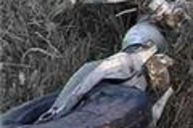 В России разбился военно-учебный самолет, пилоты пропали