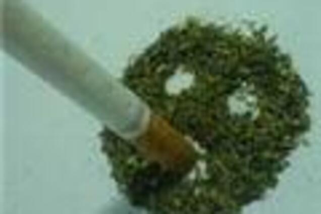 В США выдали лицензию производителям конопли