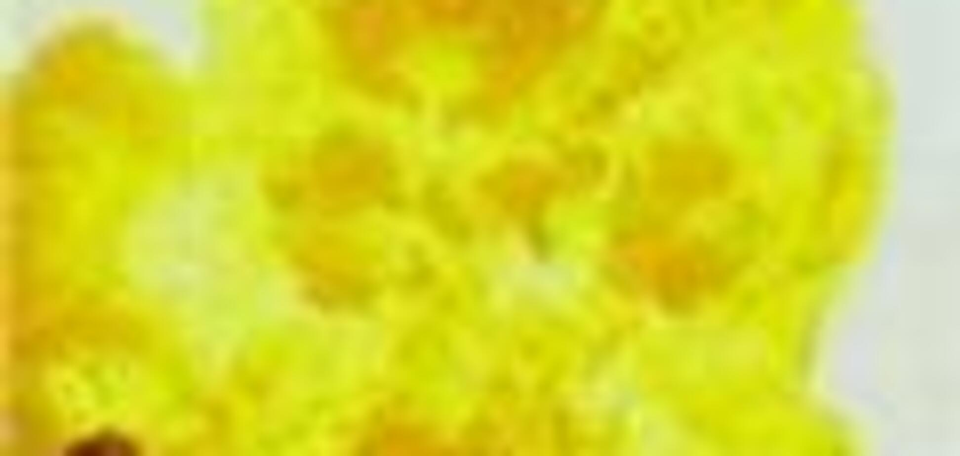 При взрыве боеприпасов в Казахстане погибли два человека