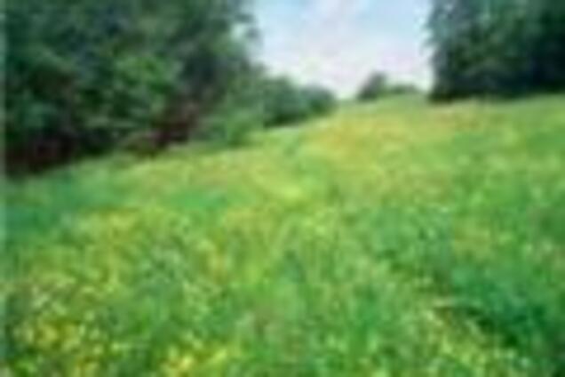 Земля в регионах за неделю подешевела на 3%