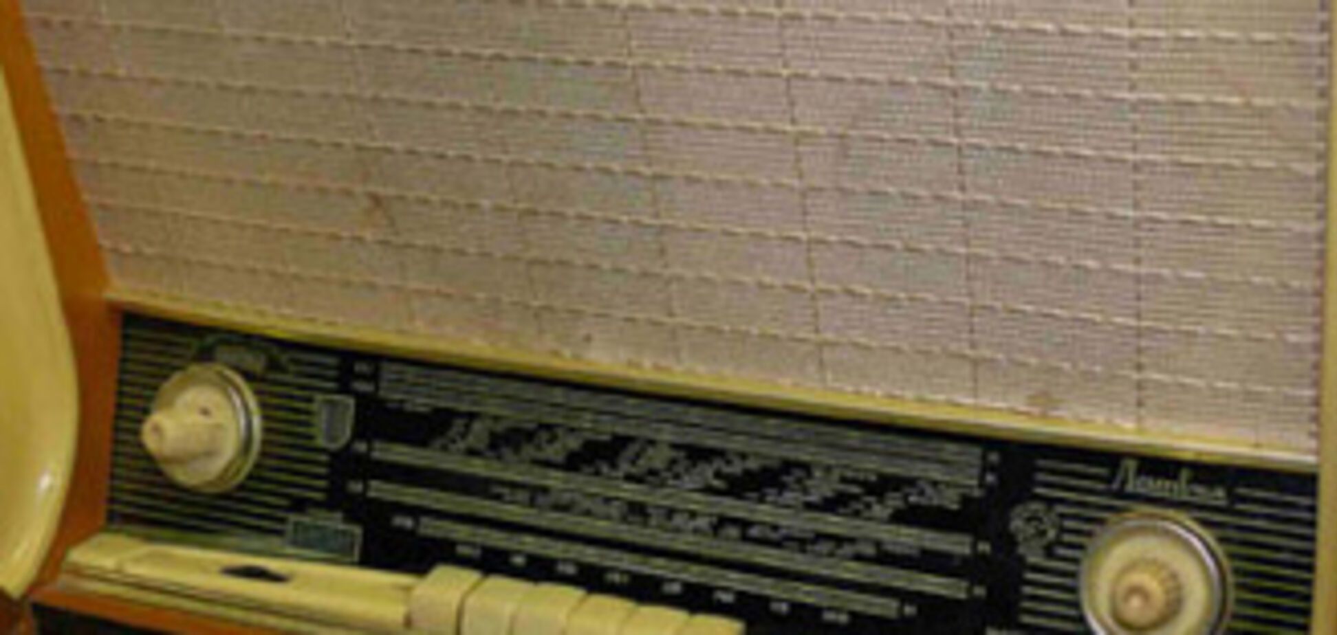 'Голос России' заговорит по-украински