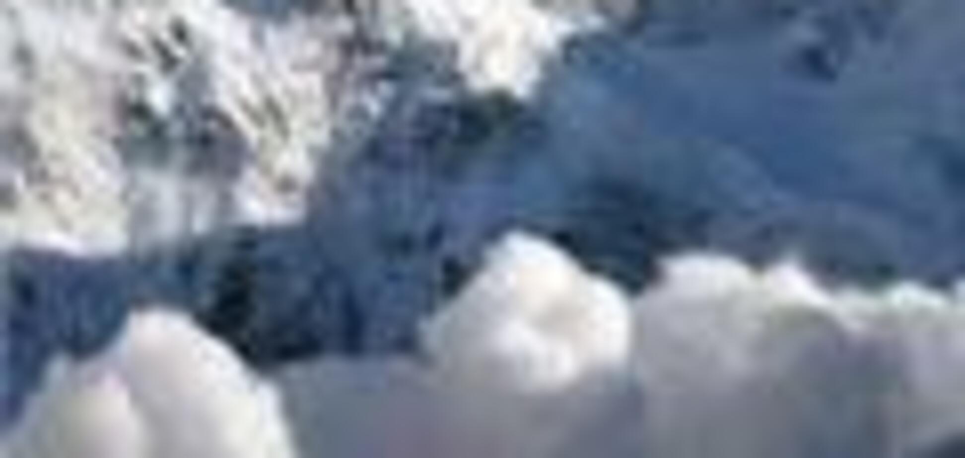 Пастух и отара овец погибли под лавиной в Киргизии