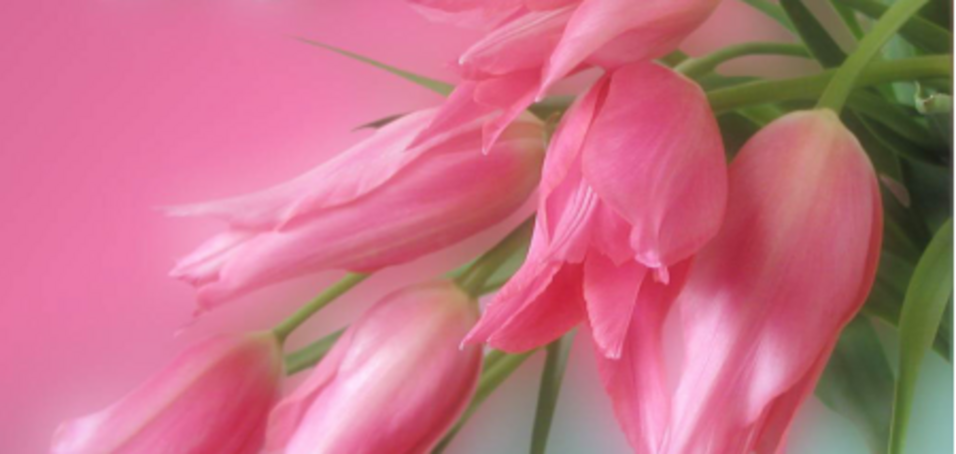 8 марта в ресторане 'Рыбный базар'