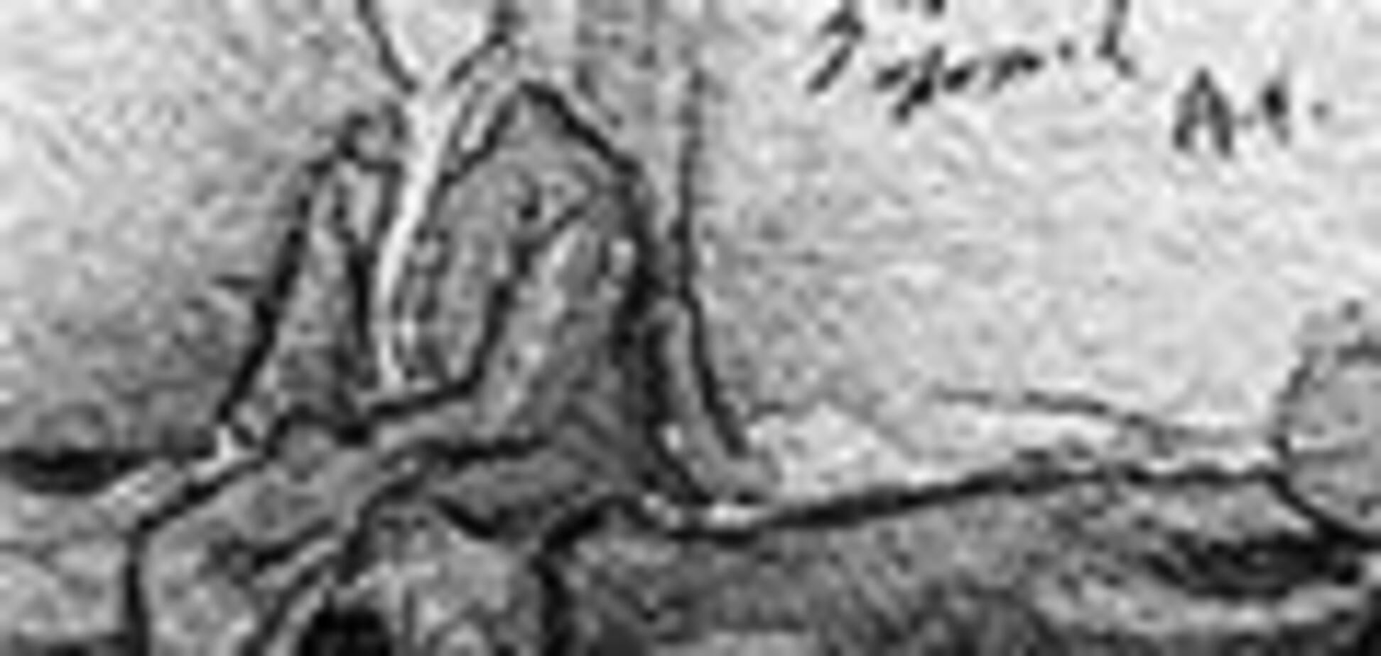 Тиран в коротких штанишках