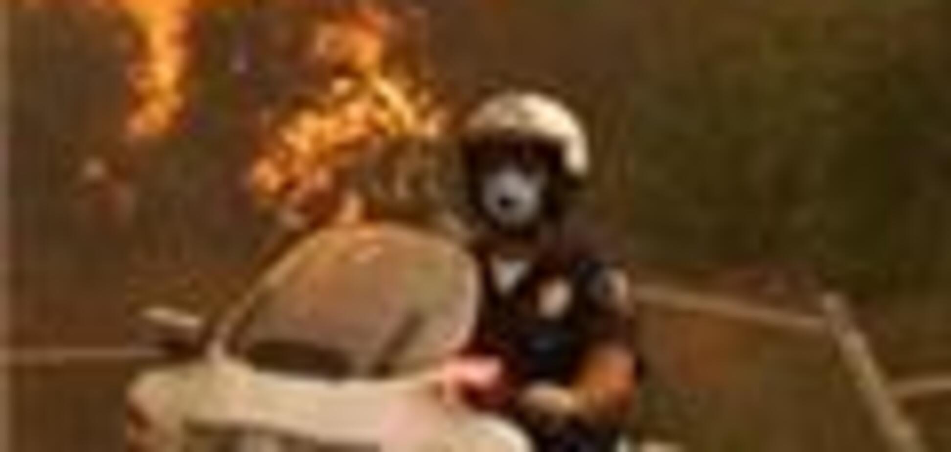 Каліфорнійського палія визнали вбивцею