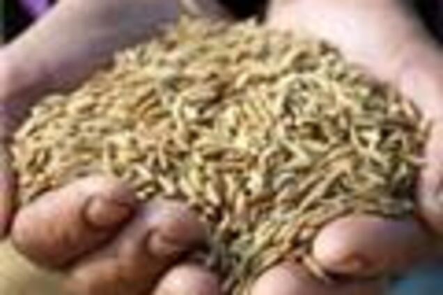 Регуляція цін ввела аграрний сектор в критичний стан