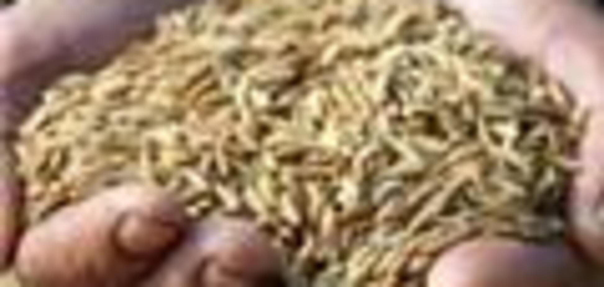 Регуляція цін ввела аграрний сектор в критичний стан