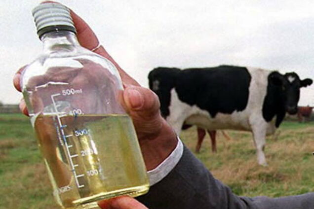 Самые странные напитки в мире