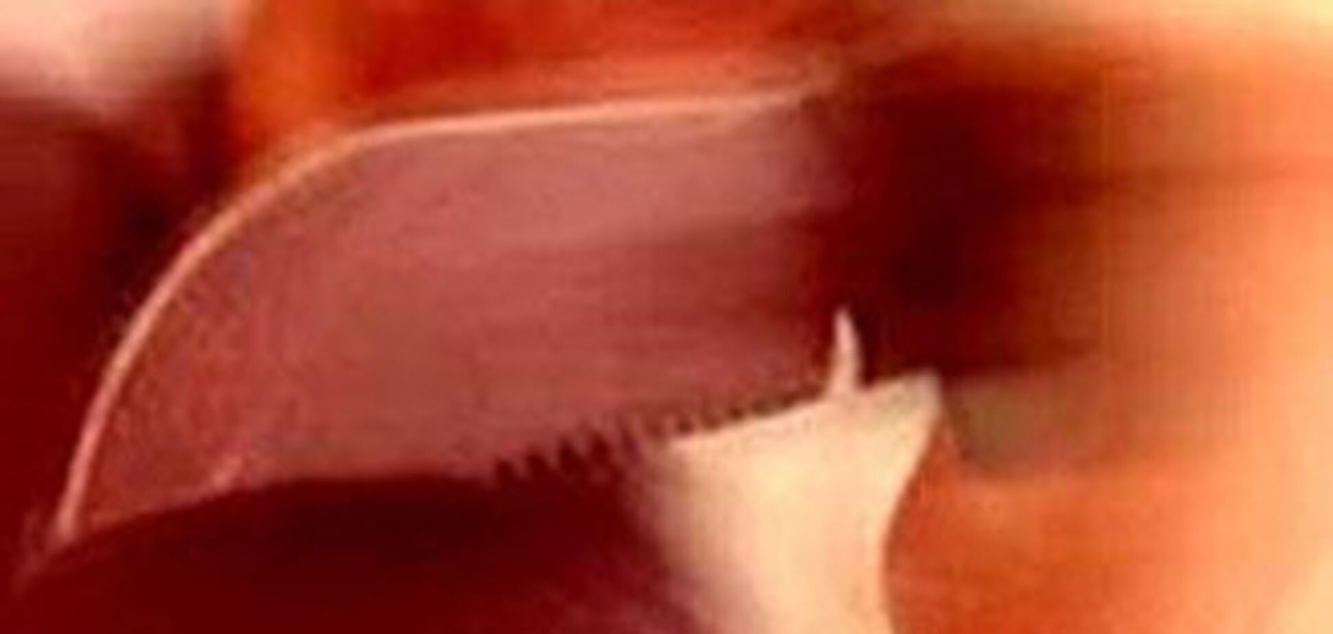 При нападении пророссийских сил в Одессе погиб националист