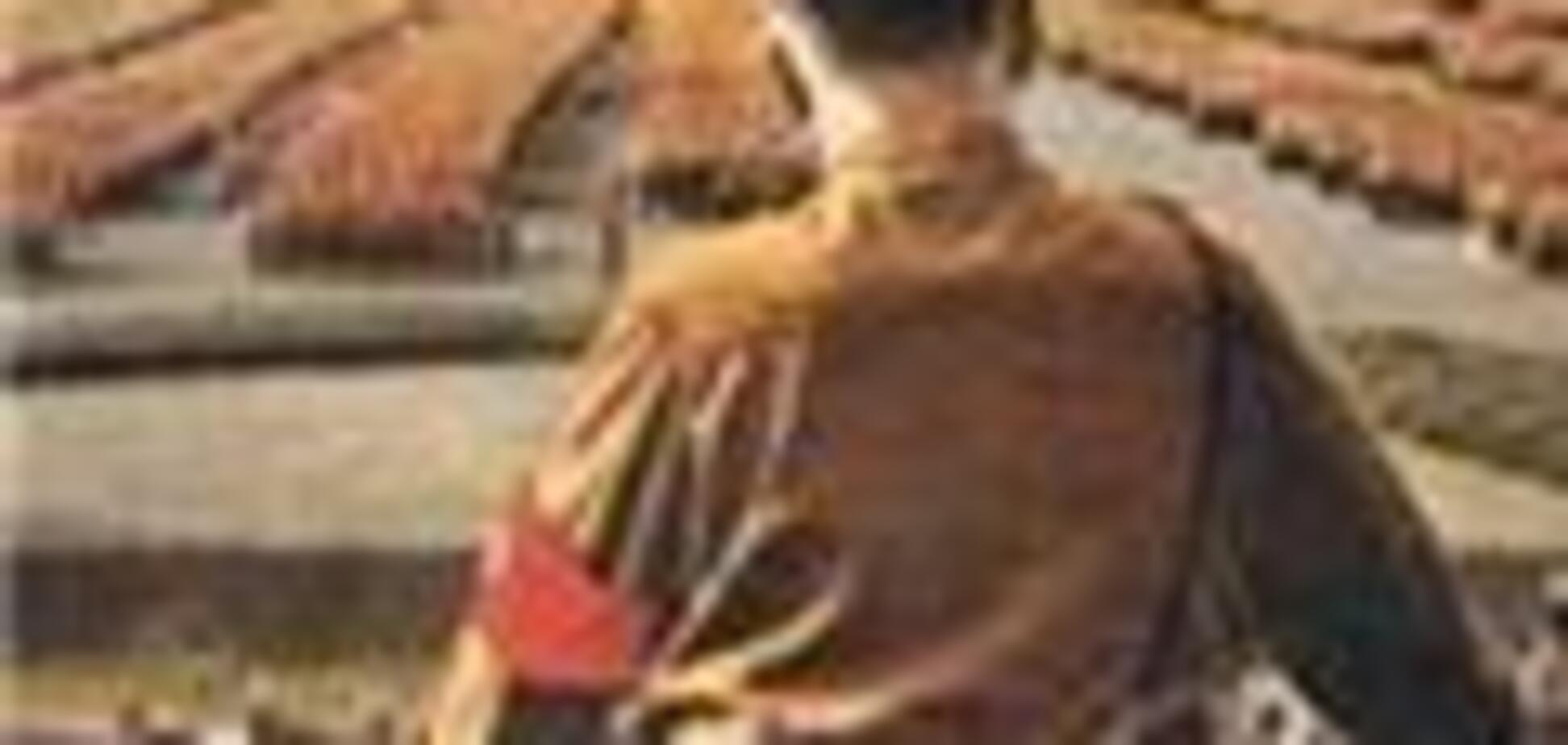 eBay продает голову Гитлера